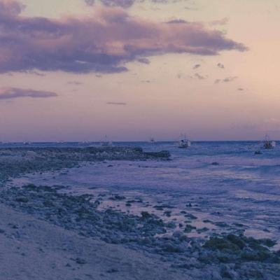 开云·体育平台下载手机版