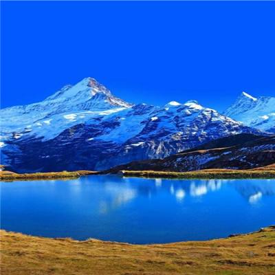 腾讯分分下载手机版