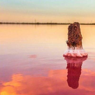 火狐官网app下载