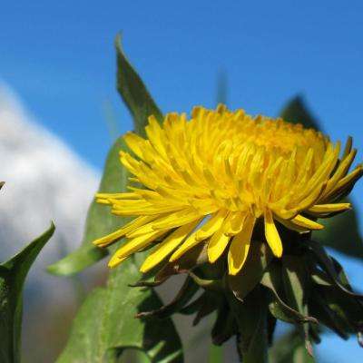 pg麻将胡了下载