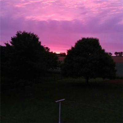 火狐官网app下载截图