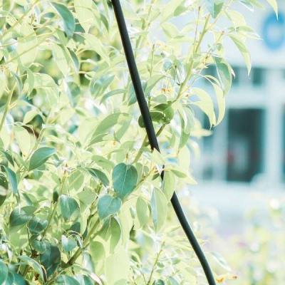 米乐·M6手机app下载