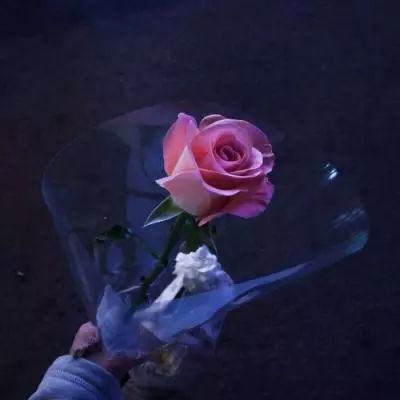 42982金牛网论坛